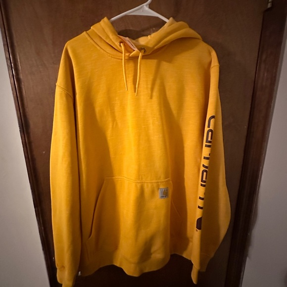 Carhartt loose fit hoodie BNWT size large - Picture 1 of 3